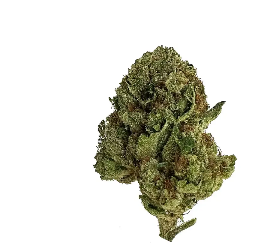 [Q-4761-05] Budz Burn LUX THC-A Flower 7G Jar (Biscotti)