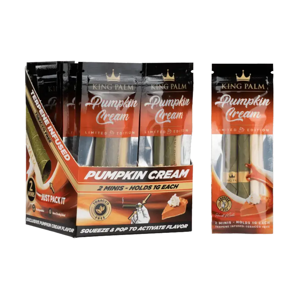 [Q-4546-04] KING PALM CONES MINI 2PK 20CT (PUMPKIN CREAM)