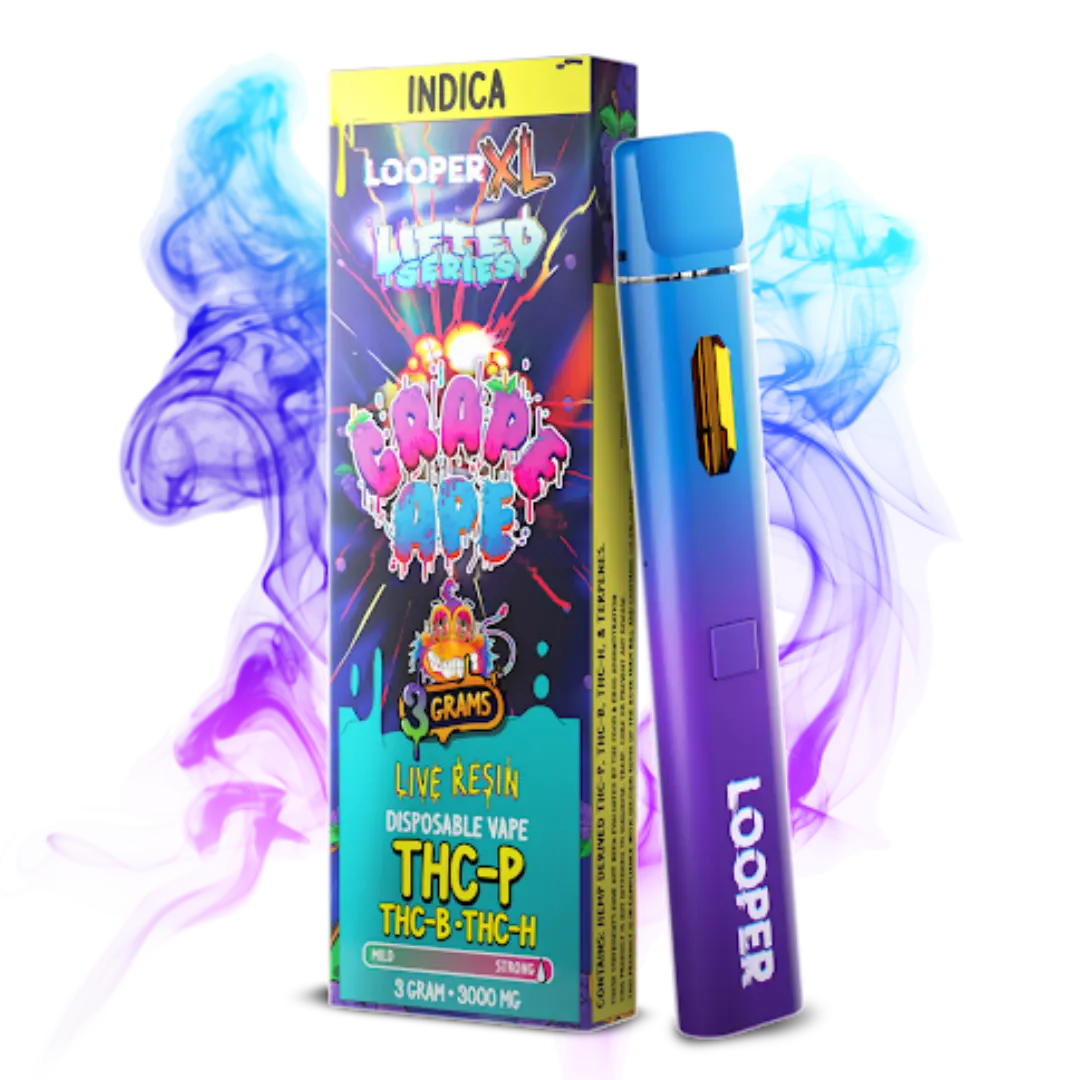 Looper Lifted 3G Disposable 5PK a Box