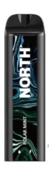 [Q-2932-09] NORTH DISPOSABLE 5000PUFF 10ML (Polar Mint)