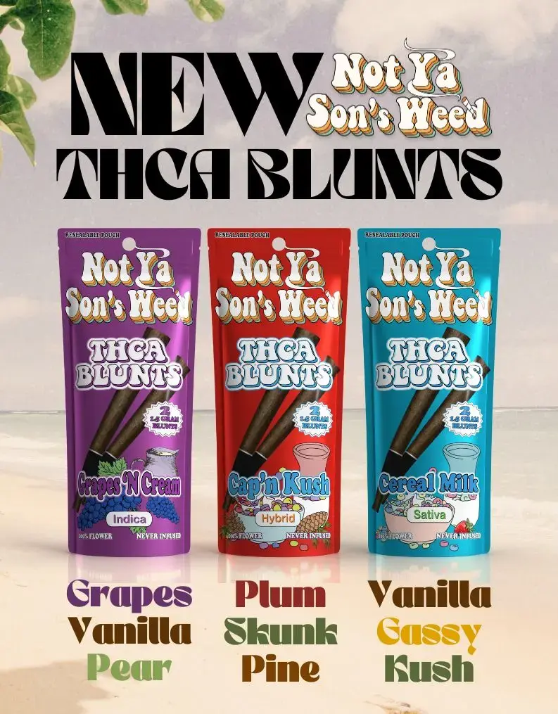 [10123-03] NOT YA SON'S WEED 2 THCA BLUNT 10PK DISPLAY (Big Foot Glue (Hybrid))