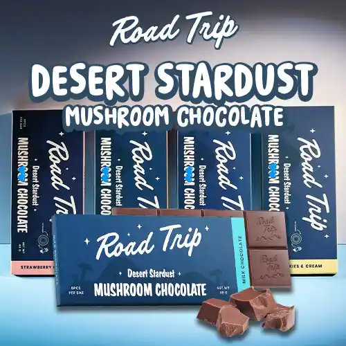 [T-1348-02] Road Trip Desert Stardust Mushroom Chocolate 10ct (Milk Chocolate)