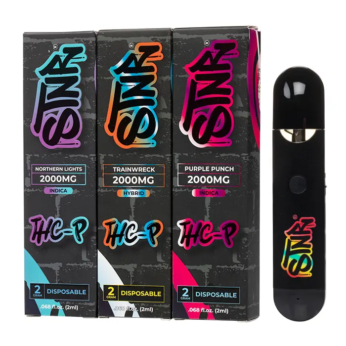 [T-1485-04] STNR 2 Gram Canna Delight THC-P - POP Disposable 6PK (Kush Berry)