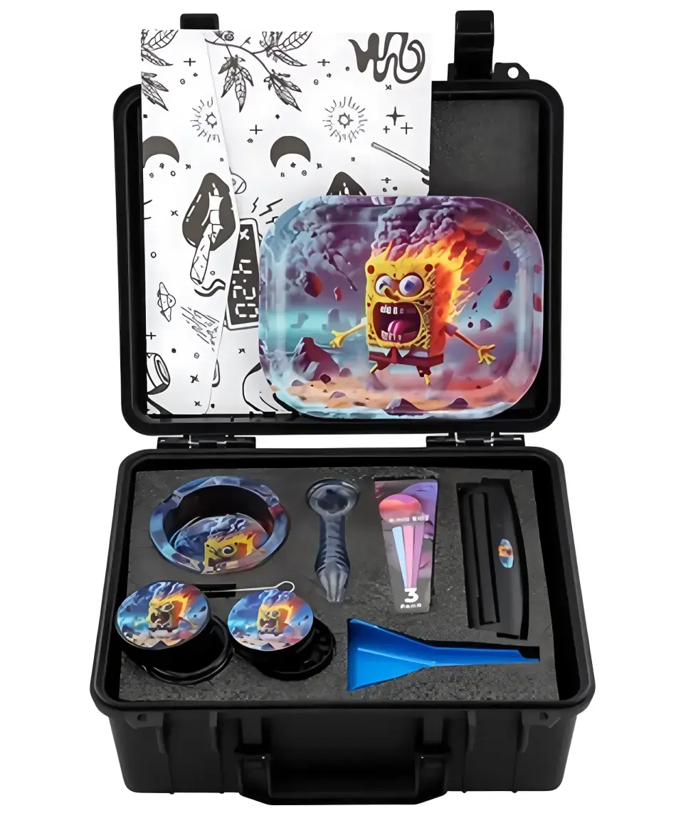 [T-1494-04] Suitcase Paster Set (Sponge bob Burning)