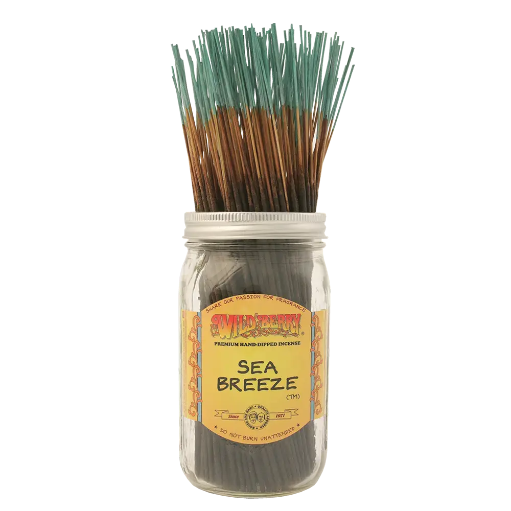 [Q-4056-06] WILD BERRY 100 INCENSE STICKS (Sea Breeze)