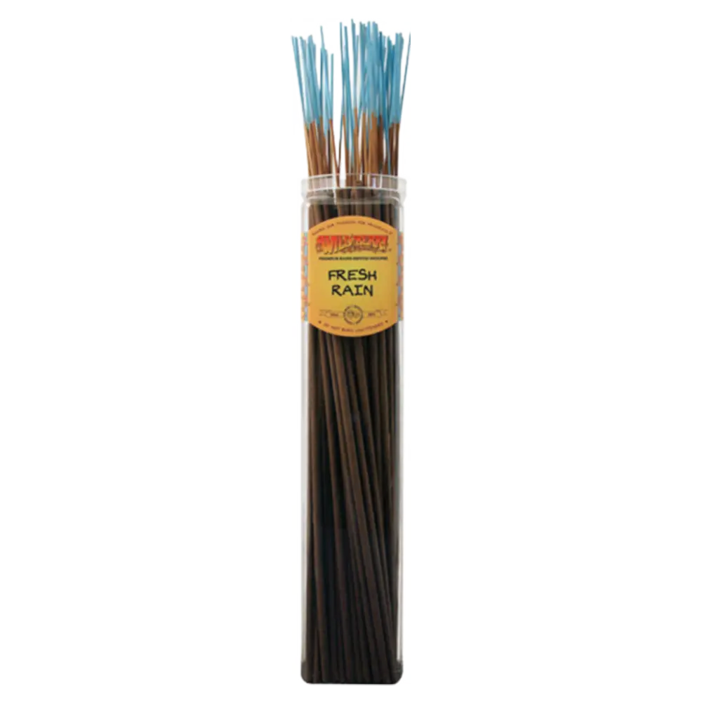 [Q-4060-16] WILD BERRY BIGGIES (Fresh Rain)