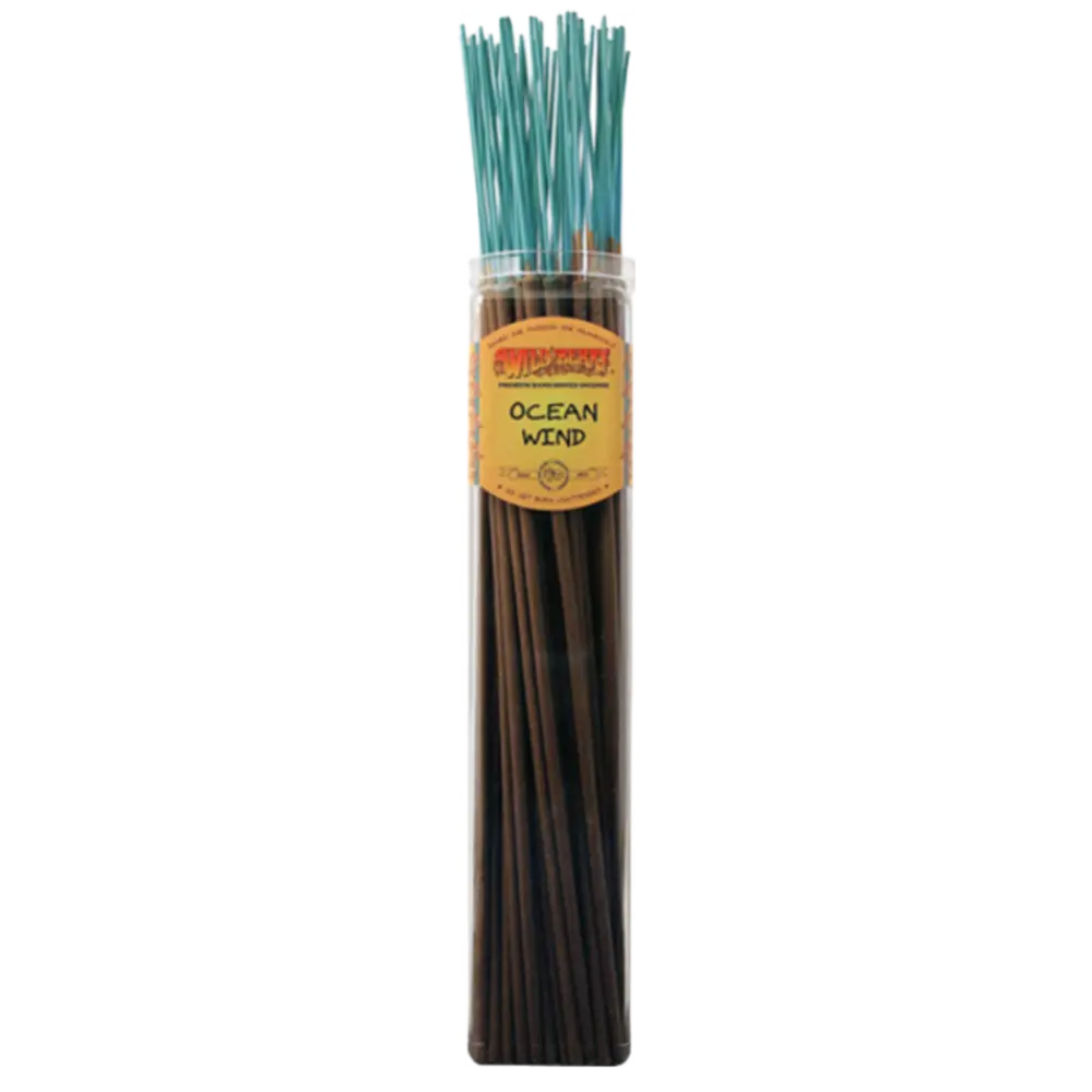 [Q-4060-17] WILD BERRY BIGGIES (Ocean Wind)