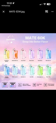 [10001-02] GEEK BAR Mate Kit 60000 15ML (Miami Mint)