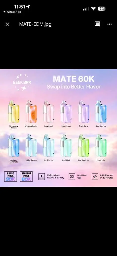 [10001-02] GEEK BAR Mate Kit 60000 15ML (Miami Mint)