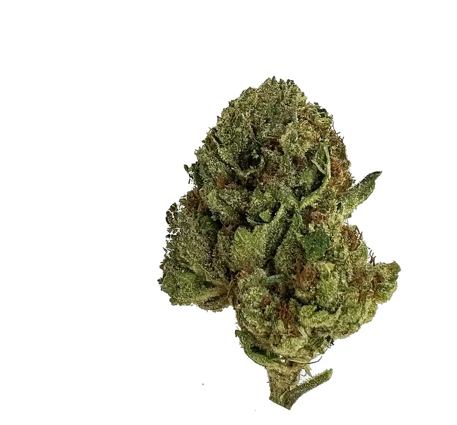 Budz Burn LUX THC-A Flower 7G Jar