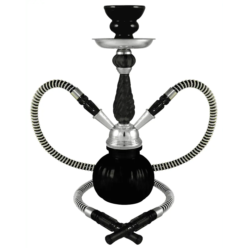 [Q-2570] HOOKAH 12" POSH 2 HOSE PREMIUM BOX