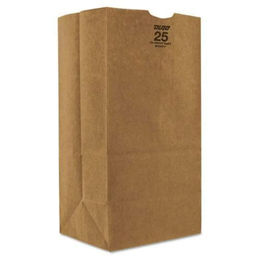 [Q-4731] KRAFT SMALL PAPER BAGS- 500PK
