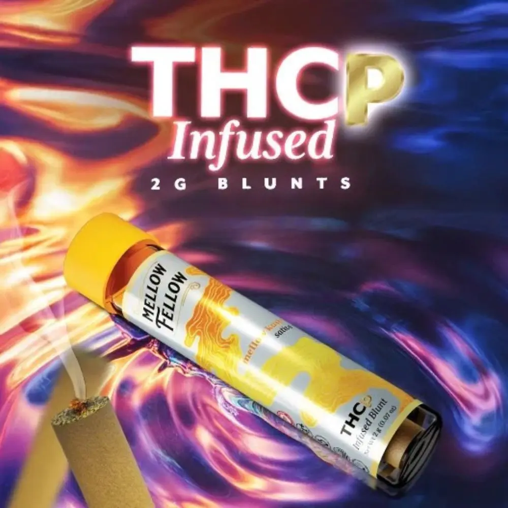 Mellow Fellow Blunts Infused Pre-Rolls 2G THC-P 12PK