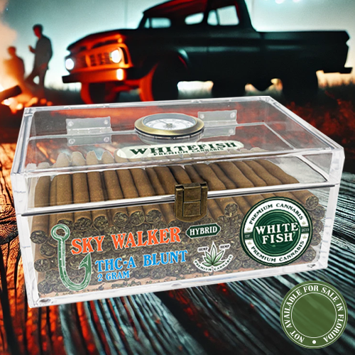 White Fish With Humidor 7G PreRoll THC-P 25PK